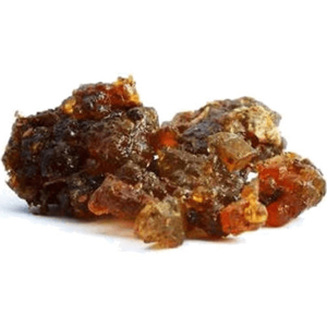 Fat Cutter Ingredients Trikatu Extract